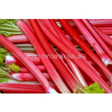 Ревен Timperly Early- Verpakt Edibles capper edibles Rhubarb Timperly Early - 1 бр.