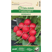 Семена Репички /Rondar H, Early / 'SK-1 оп 3 гр