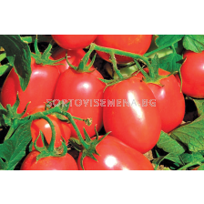 Семена домати (консервни) Рио Фуего - 100 грама