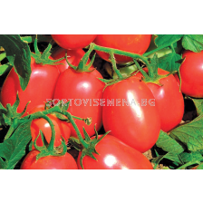 Семена домати (консервни) Рио Фуего /AgroTIP/ - 100 грама
