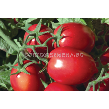 Семена домати (консервни) Рио Гранде /AgroTIP/ - 100 грама