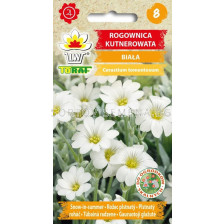 ТОРАФ ЦЕРАСТИУМ, РОЖЕЦ Rogownica kutnerowata | Cerastiumtomentosum - 0,2 г