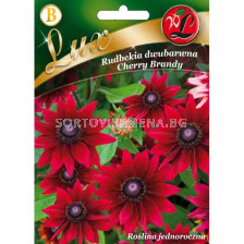 ЛГ РУДБЕКИЯ ЧЕРИ Rudbeckia hirta Cherry cherry  