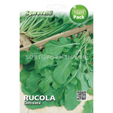 Семена Рукола - култивирана`SG