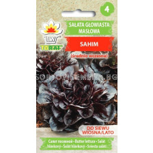 Салата маслена глава Sahim - Lactuca sativa  L.-1г