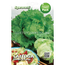 Семена Салата (Lettuce) Batavia Bionda di Parigi`SG