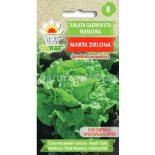 Салата маслена глава-Marta Zielona-Lactuca  sativa L. - 1г