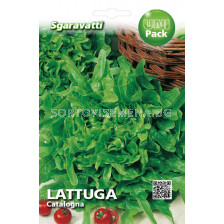 Семена салата Каталогна`SG - lettuce Catalogna`SG 