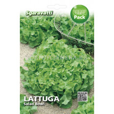 Семена салата Salad Bowl`SG - lettuce Salad Bowl`SG