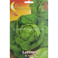 Семена салата Св. Анна - lettuce St. Anna