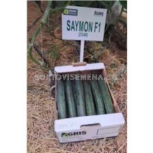 Семена краставици SAYMON /ZKI/ - 250 семена