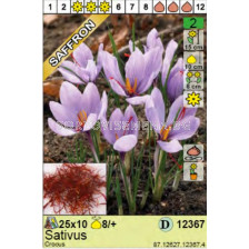 Шафран (Crocus sativus) 1 оп (10 бр)
