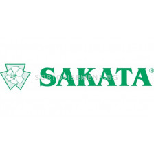 Семена безсеменни дини Регус F1 Sakata -500 сем