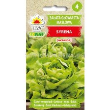 ТОРАФ СЕМЕНА САЛАТА СИРЕНА (ранна) Salata maslowa Syrena | Lactuca sativaL. TF - 1 г  