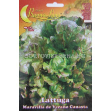 Семена Салата (Lettuce) Maravilla de Verano Canasta