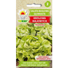 ТОРАФ САЛАТА тип Маслена глава  КРОЛОВА Salata maslowa Krolowa Majowych TF - 2г