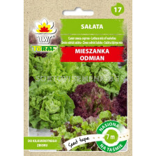 СЕМЕНА САЛАТА МИКС - 7М ЛЕНТА/ Salata mix odmian - ТОРАФ