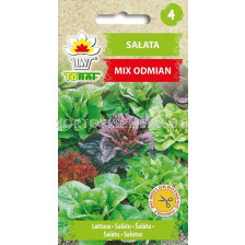 ТОРАФ СЕМЕНА САЛАТА МИКС Salata mix odmian | Lactuca sativa TF - 1г