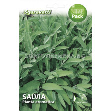 Семена Салвия`SG - Salvia`SG