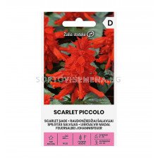 СК СЕМЕНА САЛВИЯ SCARLET SAGE SCARLET QUEEN