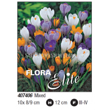 Минзухари вернус микс - Пакет с 10 бр.