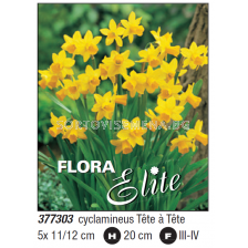 Нарцис cyclamineus Tête à Tête - Пакет с 5 бр.