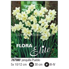 Нарцис jonquilla Pueblo - Пакет с 5 бр.