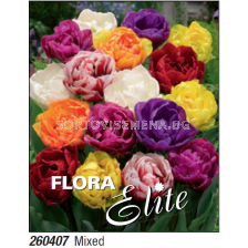 Лале double mixed  - Пакет с 7 бр.