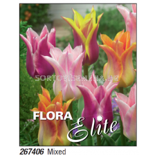 Лале lily-flowered mixed - Пакет с 7 бр.