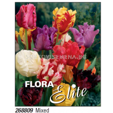 Лале parrot mixed - Пакет с 7 бр.