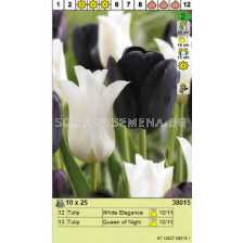 Пакет лалета White Elegance (12 бр.) и Queen of Night (13 бр.) - 25 бр. 