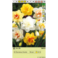 Пакет кичести нарциси микс - 25 бр.