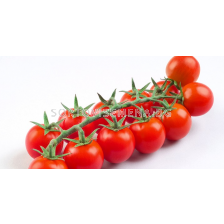 Семена домати ШИРЕН /чери/ - 500 с.