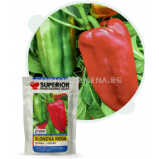 Семена пипер СЛОНОВ КРАК / SLONOVA NOGA