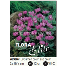 Циклама coum ssp coum - 1 опаковка - 3 броя