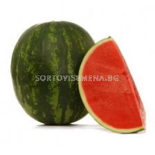 Семена дини ПОДИУМ - 500 бр.