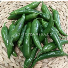 Семена пипер Орития F1 /лют пипер/- Atlanta seed- 1000 семeна