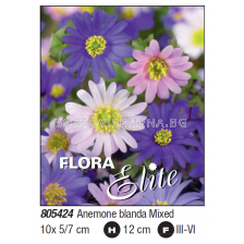 Анемоне бланда микс/ Anemone blanda mixed - 1 пакет от 10 бр. 