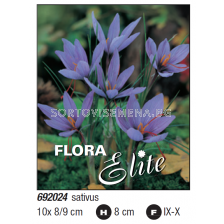 Шафран (Crocus sativus) 1 оп (10 бр)