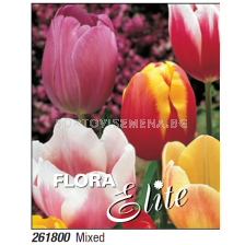 Лале микс/ Tulipa triumph mixed - Пакет с 7 бр.