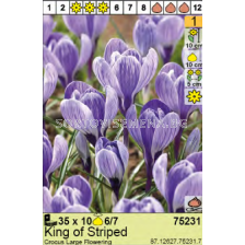 Минзухар/ Crocus King of Striped - Пакет с 10 бр.