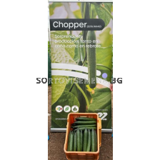 Семена краставици Chopper F1 - 250 семена - sortovisemena.bg Семена краставици Chopper F1 - 250 семена