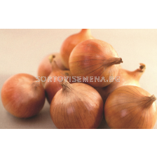 Семена лук Ироко/ Iroko F1 - 100 000 семена