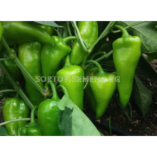 Семена пипер ДАРОВИТА /капия/ - 1000 с.