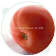 Семена домат СУПЕРИОР БИЙФ F1 / SUPERIOR BEEF F1