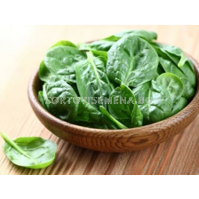 Семена спанак ЙОШИ - 50 000 семена