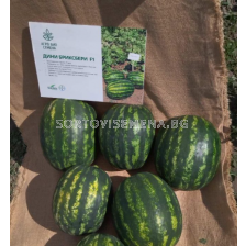 Семена дини Бриксбери F1 - 250 семена