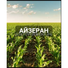 Айзеран - 5л