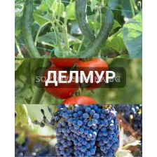 Делмур - 5л