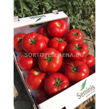 Семена Домати SVTD8033 F1 /червен/-2500 сем